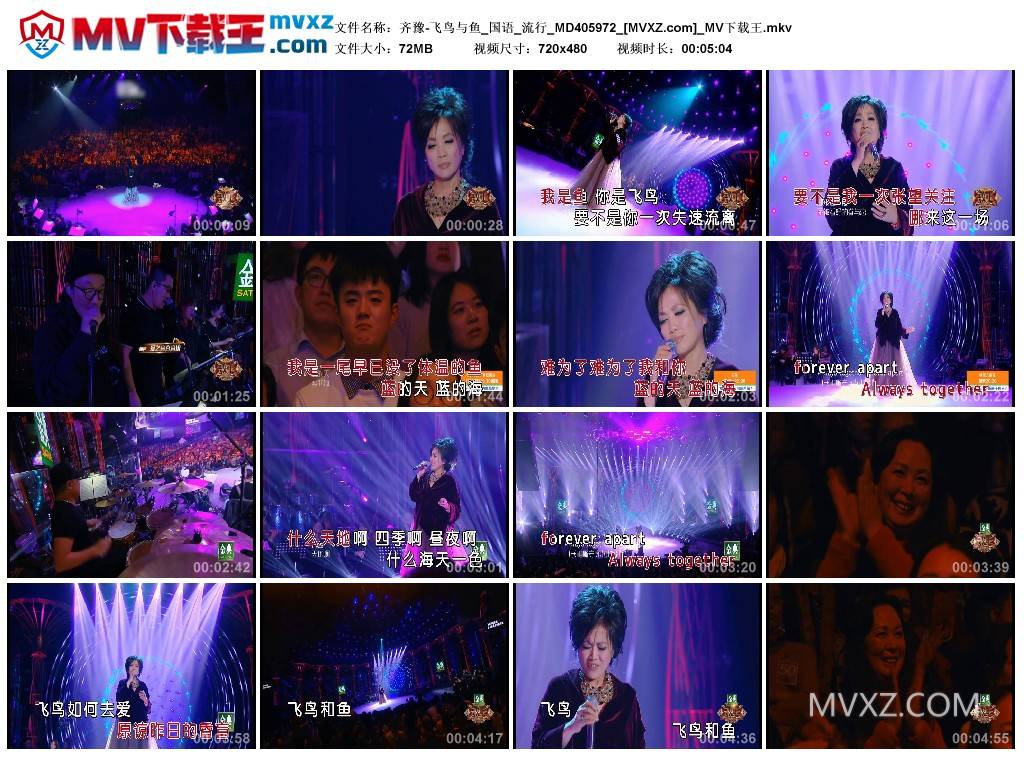 齐豫-飞鸟与鱼_国语_流行_MD405972